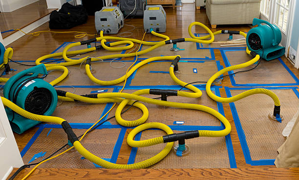 Professional Crawl Space Water Removal technician working in Preston, IA
